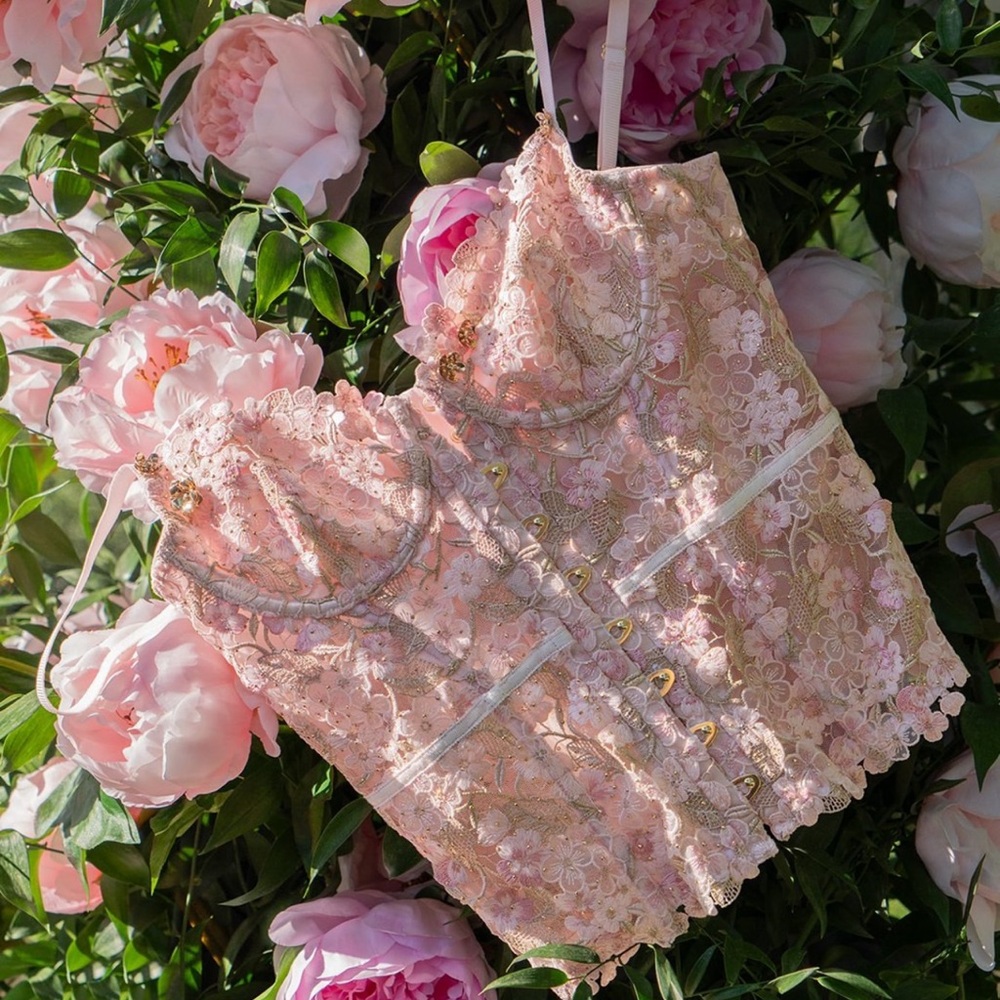 Victoria's Secret Atelier Enchanted Garden pink silk lace Embroidery Corset Top